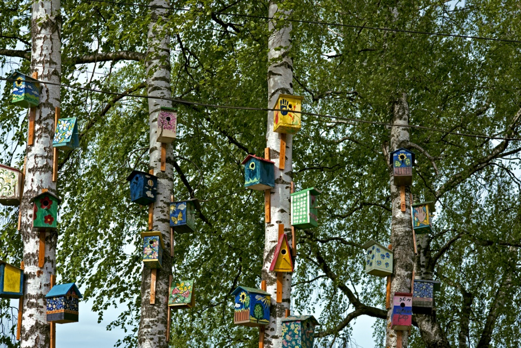 DSC_8303_.jpg